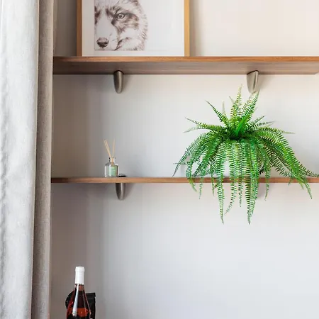 Apartment Palea, Urban Comfort In *